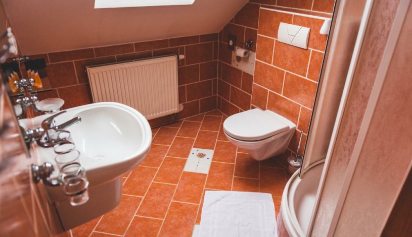 HOTEL U ČESKÉ KORUNY Hradec Králové - Jednolůžkový pokoj